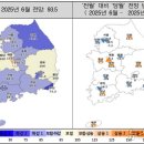 선 이미지