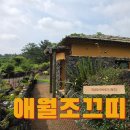 애월뜰안채한옥펜션 | 제주풀빌라 추천 애월조끄띠 자연에서 쉴 수 있는 C동 2박 3일 후기