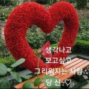 F. 쇼팽_ 첼로 소나타 G 단조 中 3악장 이미지