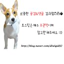라라펫스튜디오 네이버블로그