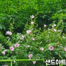 태전초등학교 병설유치원 이미지