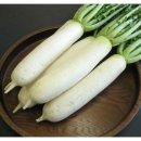 체리이야기