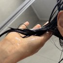 (주)울릉심층수 | 쿤달 여름샴푸추천 히알루론 에어리 볼륨 샴푸+트리트먼트 500ml+세럼50ml 3종 세트