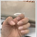 그린미뷰티