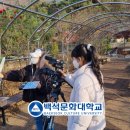 하나종합미디어 이미지