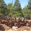 여주-0962 이미지