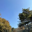 스마트KU 골프 파빌리온 | [세계 이곳저곳] 스마트KU 골프파빌리온 가을 라운딩 내돈내산 후기