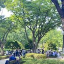 종로-종로-종로-종-157 이미지