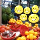 은하상회 이미지