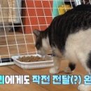 수수아빠 이미지