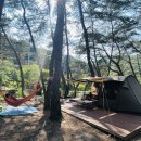 금물산하늘소캠프 이미지