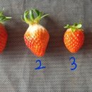 순기농장 이미지