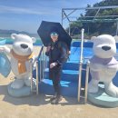 해남군-07 이미지