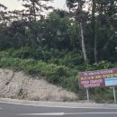 24년 군산 신시도자연휴양림 다녀왔습니다.