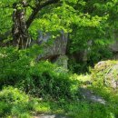 천본2리 이미지