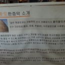 흥덕황토한증막