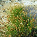 하늘지기 이미지