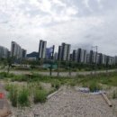 백운밸리주유소 이미지