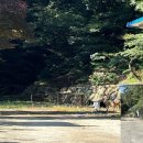 한국전쟁 진주지역  이미지