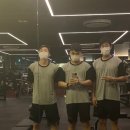 스카이 피티 이미지