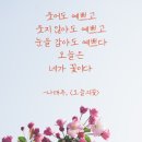 오늘도예쁘다 이미지