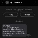 백조수선 이미지