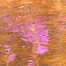 계곡수채화 이미지