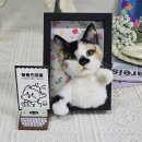 그립톡 양모펠트 | 반려묘 양모펠트 액자_콜라_주문제작 후기