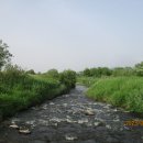 청미천 1 이미지