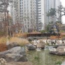 yes예스공인중개사사무소 이미지