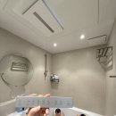 망정동 유해환경 개 | LG 퓨리케어 바스에어시스템 설치 후기(LG 욕실환풍기 듀얼배기 체감 리뷰)