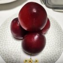 율리공인중개사사무소 이미지