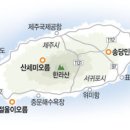 제주의삶