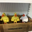 분홍 | [부산광안리]분홍이네 소품샵 내돈내산후기