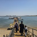 삼길포 선상어시장거리 | 충남 가볼만한 곳 서산 삼길포 선상횟집 시간, 가격 정리