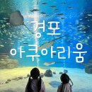 경포빌딩 이미지