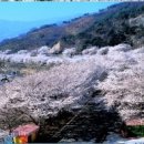 화개축산 이미지