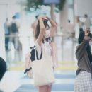 사쿠라 이미지