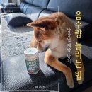 펫제제(PET JEJE) | 강아지 방광염 재발 방지: 포스티 크런치로 음수량 늘리기 급여 기록