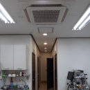 문덕동물병원 이미지