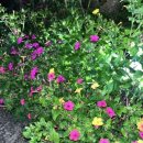 스테이더담 밀양금산점 이미지