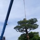 금과초등학교 이미지