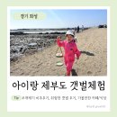 아이랑 제부도 조개캐기 갯벌체험 모래놀이 위험한이유 비추 후기 / 가볼만한 카페 이니씨오 / 식당 해성