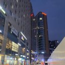 위례성대로204앞 이미지