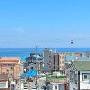 펜션오라 | 강원도 여름 여행 삼척 오라펜션 장호항 숙소 스노쿨링 명소