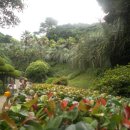 외도조경식물원 이미지