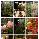 밀레니엄주유소 이미지