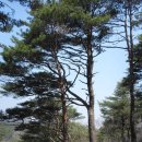 삼거리농장 이미지