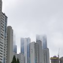 한신 카 서비스 이미지