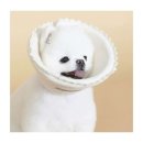 펫하우스 이미지